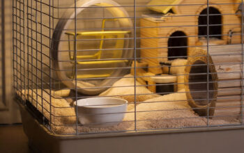 hamster cage