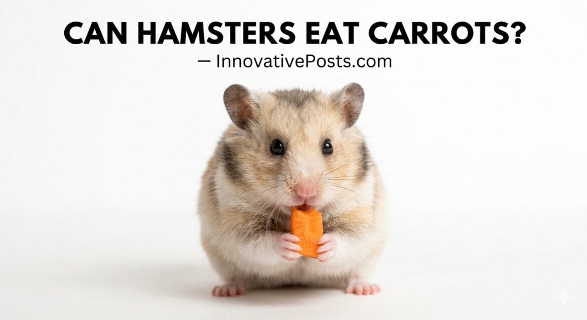 Can Hamsters Eat Carrots? Benefits, Risks & Feeding Guide (2026)