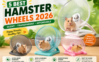 5 Best Hamster Wheels 2026